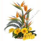 Arrangement of Mix exotic Flowers