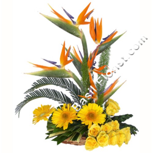 Arrangement of Mix exotic Flowers