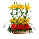 Basket of Lillium and Gerbera