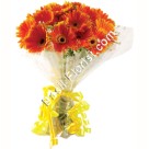 Bunch of 20 Gerberas