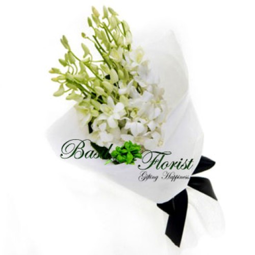 Eternal Peace (10 White Orchids)