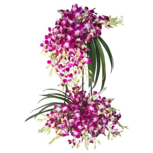3 ft height arrangement of purple Orchids