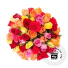 80 Multicolor Roses Bunch