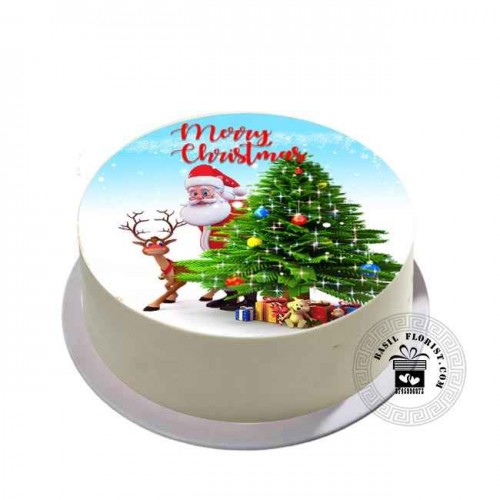 Christmas Cake P2212132