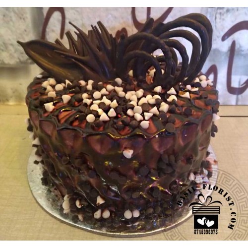 Choco Chips Mud Cake D20123002