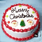 Santa X-mas Cake