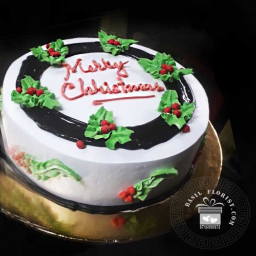 Merry  Christmas Cake 021