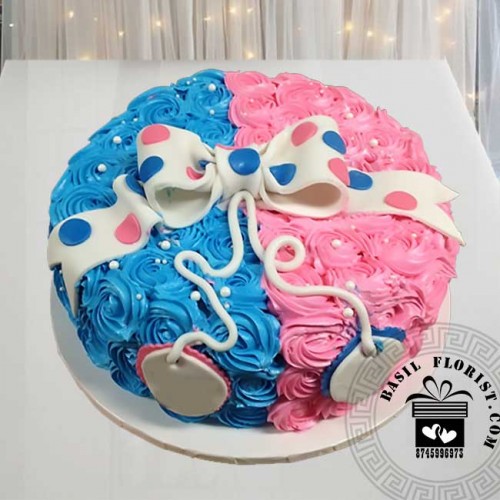 Baby Shower Cake D21051905