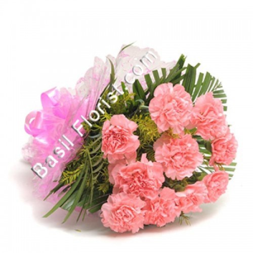 10 Pink Carnation  Bunch