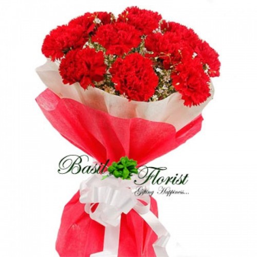 10 Red Carnation Bunch