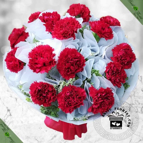 Chastity (15 carnation )