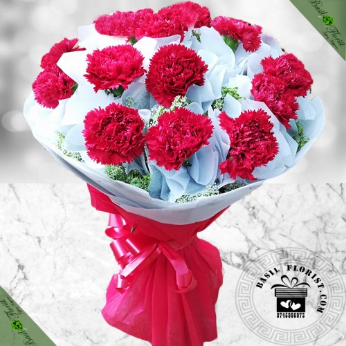 Chastity (15 carnation )