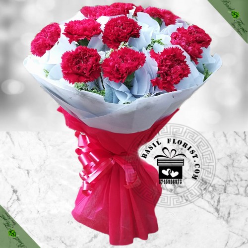 Chastity (15 carnation )