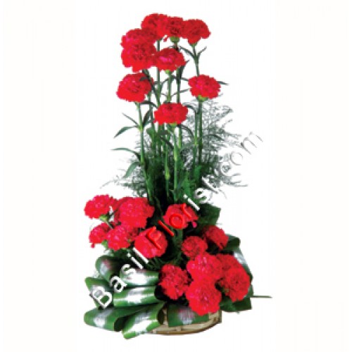An arrangement 25 Carnations