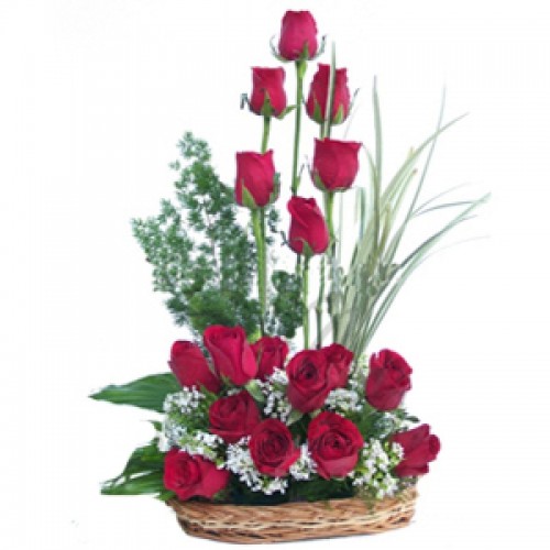 18 Red Roses arranged in a Basket