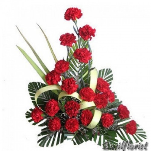 20 Red Carnation Arrangement