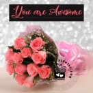 You are Awesome (12 pink roses)