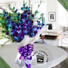 Blue Eleanor (10 orchids)