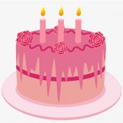 Pink Valvet Cake (4)
