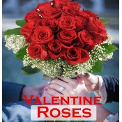 07th Feb Rose Day (53)