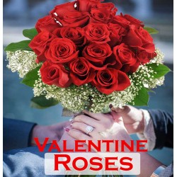 07th Feb Rose Day