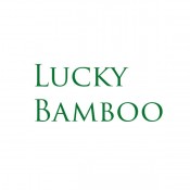 Lucky Bamboo (0)