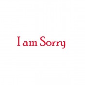 I am Sorry (54)