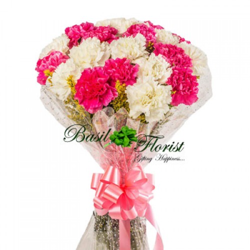 20 Mix Carnation Bunch