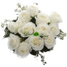 Snow white (12 White roses)