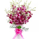 Wonderful Feelings (A bunch of 10 Orchids)